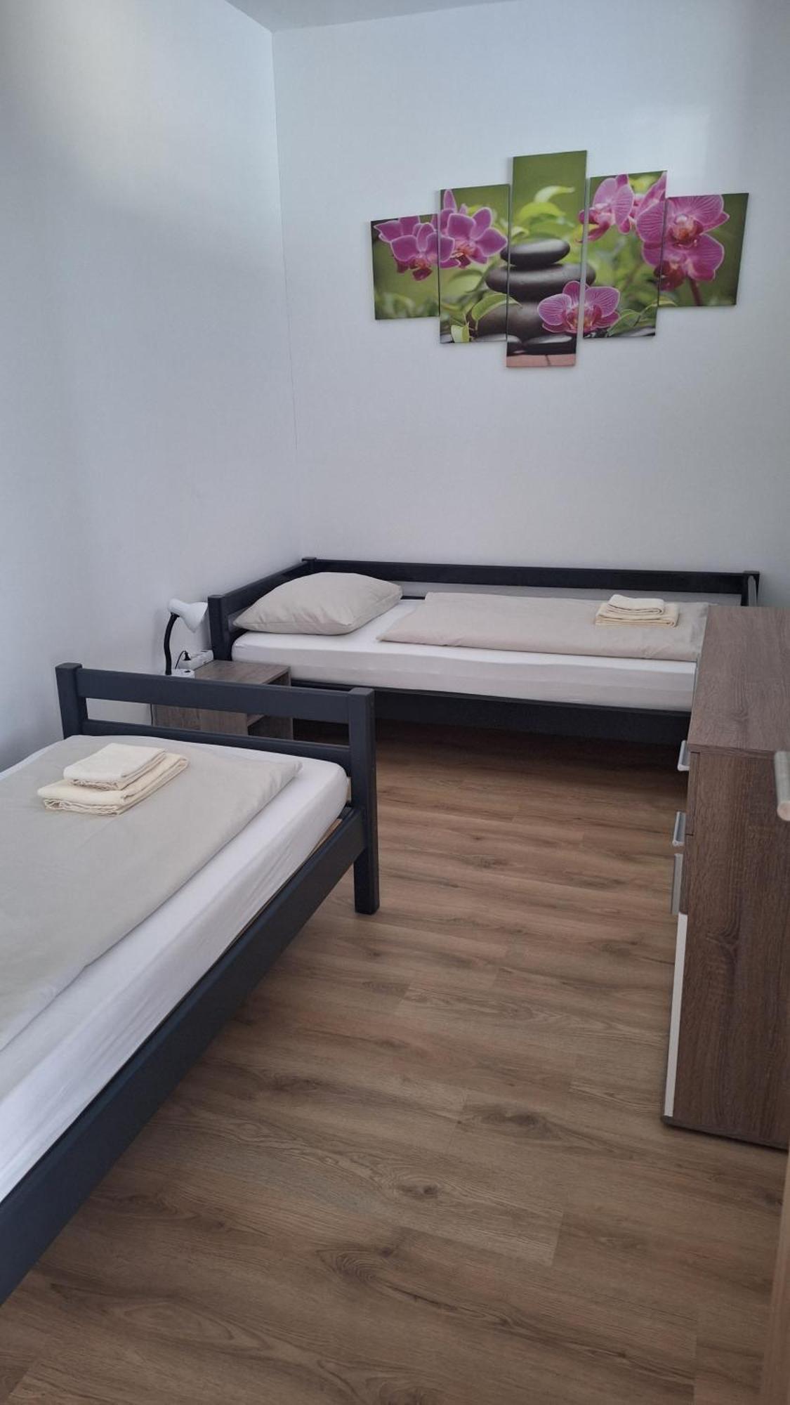 ווינר נוישטאדט Pension Haus Nova מראה חיצוני תמונה